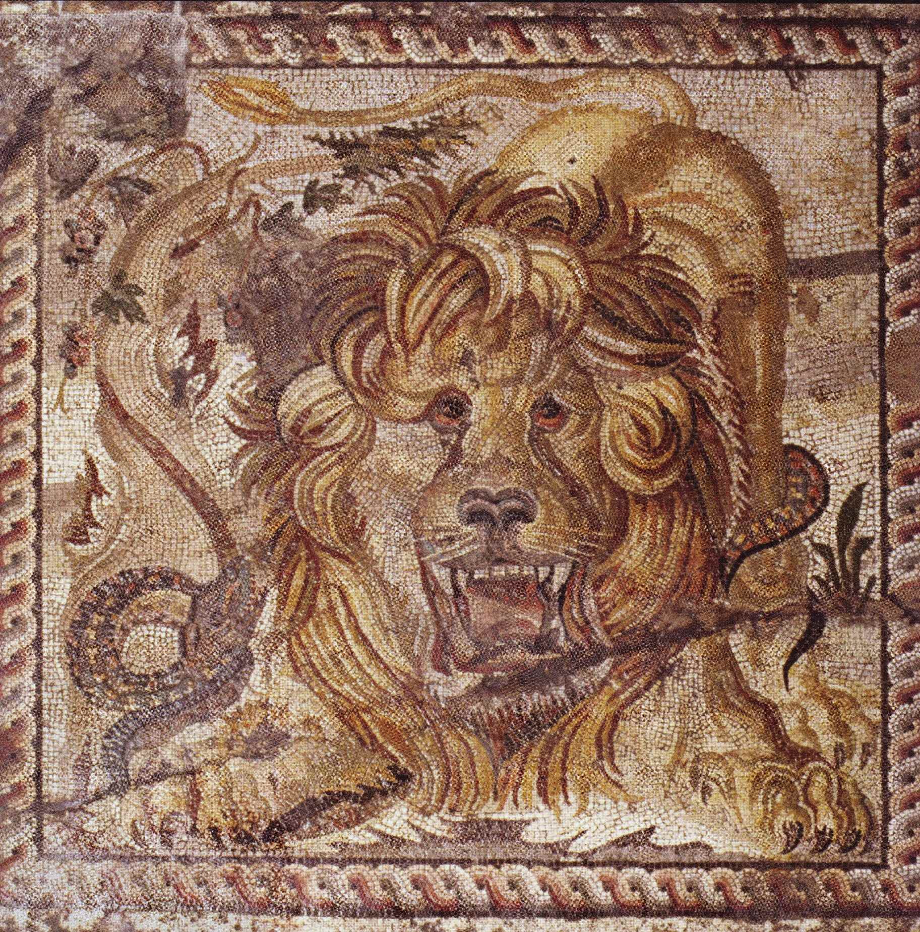 DOMUS DEL LEONE