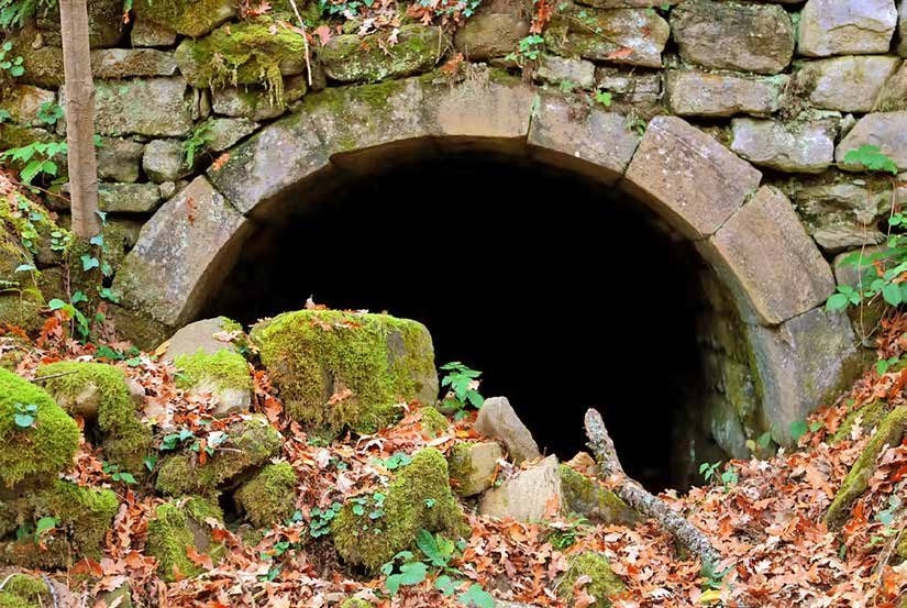 Canale di adduzione dell'acqua, la gora